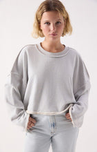 Afbeelding in Gallery-weergave laden, DANTOWN sweater