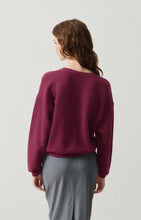 Afbeelding in Gallery-weergave laden, IZUBIRD sweater