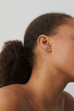 Afbeelding in Gallery-weergave laden, Bay oorstekers