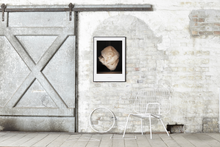 Afbeelding in Gallery-weergave laden, ESSENCE OF BALLET 01