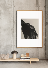 Afbeelding in Gallery-weergave laden, TRANSLUCENT II