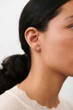 Afbeelding in Gallery-weergave laden, Mini Wild Poppy oorstekers
