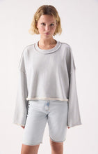 Afbeelding in Gallery-weergave laden, DANTOWN sweater
