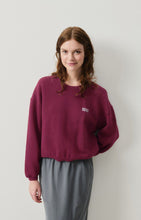 Afbeelding in Gallery-weergave laden, IZUBIRD sweater
