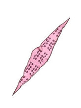 Afbeelding in Gallery-weergave laden, ELYRIS diamond scarf
