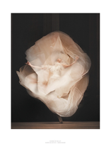 Afbeelding in Gallery-weergave laden, ESSENCE OF BALLET 01
