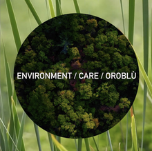 Afbeelding in Gallery-weergave laden, 30 denier Eco panty zwart
